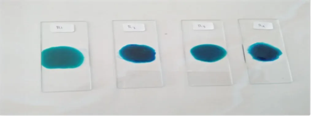 Gambar 4.6 Tipe emulsi sediaan nanoemulsi gel minyak sawit olein merah  Penambahan  biru  metilen  ke  dalam  sediaan  menunjukkan  bahwa  biru  metilen  terdispersi  merata  dalam  sediaan