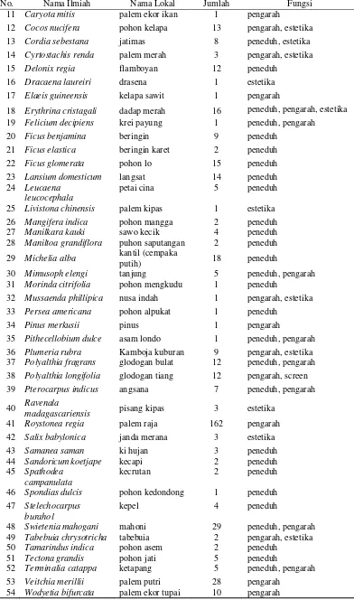 Tabel 5 Jenis dan fungsi pohon pada Taman Langsat (lanjutan) 