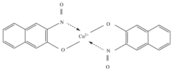 Gambar 2.3. Struktur kompleks ion logam Cu 2+  dengan ligan NN 