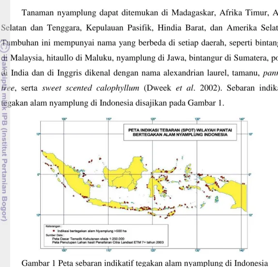 Gambar 1 Peta sebaran indikatif tegakan alam nyamplung di Indonesia  (Kementerian Kehutanan Republik Indonesia 2009) 
