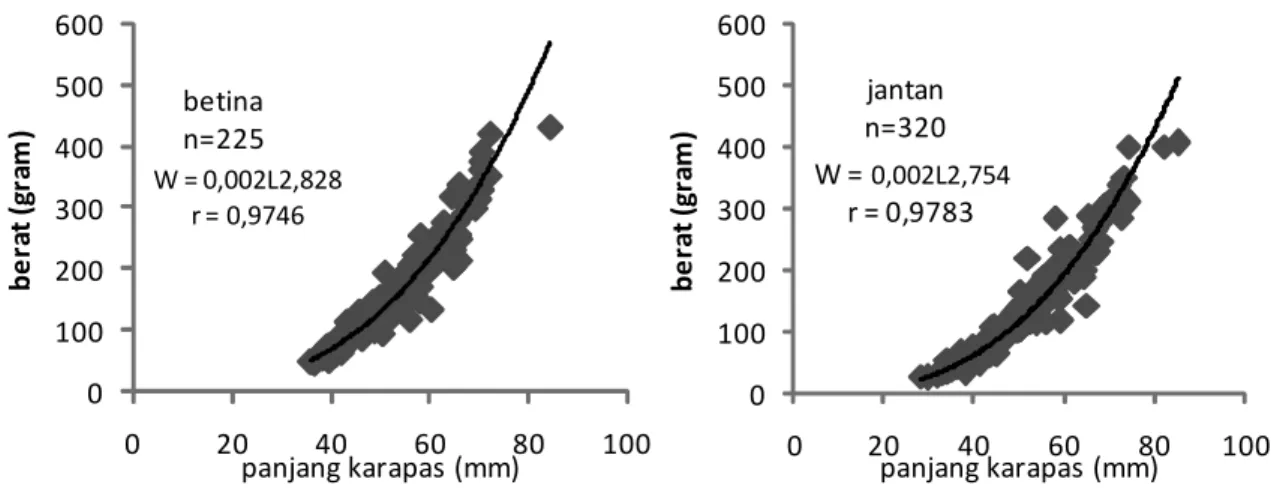 Gambar 2. Grafik hubungan panjang berat lobster pasir (P. homarus) Figure 2. Length-weight relationship of P.homarus