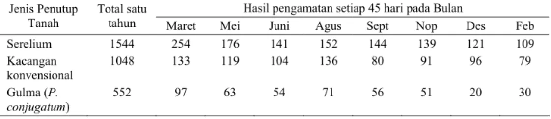Tabel 4.  Bobot  biomasa kering (g/m 2 ) yang dihasilkan tanaman penutup tanah 