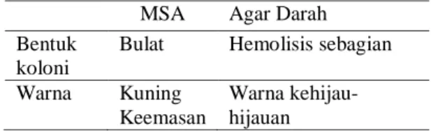 Tabel 1 Hasil penanaman pada media MSA  dan Agar darah 