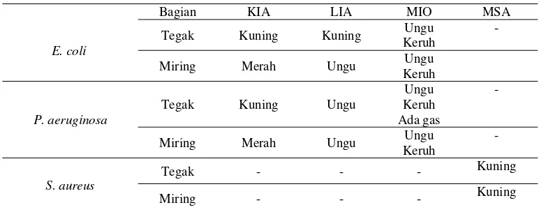 Tabel 1. Hasil uji biokimia bakteri menggunakan media MSA, KIA, LIA, dan MIO 