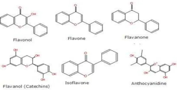 Gambar 2.3 Struktur Senyawa Flavonoida 