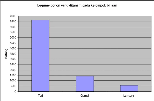 Tabel 4. Jumlah legume pohon yang ditanan anggota kelompok pada kelompok binaan di  Kabupaten Lombok Tengah