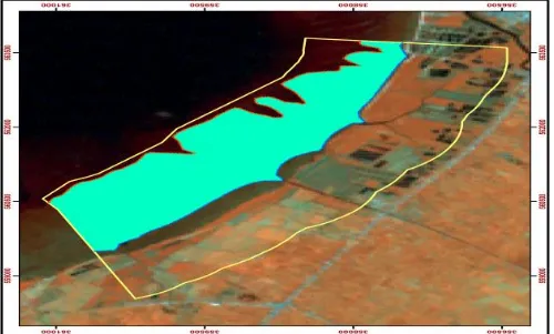 Gambar  4  menunjukkan  sebagian  besar  pantai  Kecamatan  Talawi  mengalami  perubahan  yang  menunjukan  tingkat akresi yang signifikan pada tahun  2008  –  tahun  2011