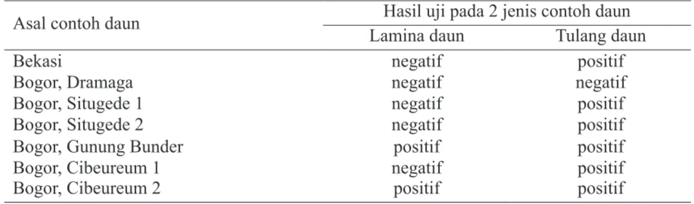 Tabel 2  Konsentrasi dan kemurnian DNA total hasil ekstraksi dari contoh daun jeruk bergejala  CVPD untuk persiapan uji validasi 