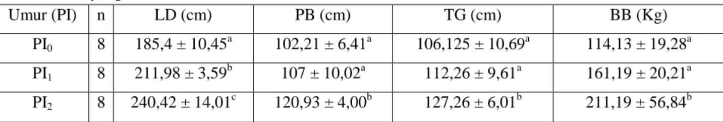 Tabel 1.  Ukuran statistik vital dan bobot badan  sapi Madura karapan berdasarkan permanent incicivi  (PI) yang berbeda 