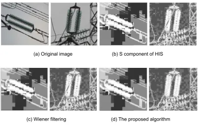 Figure 1. The results of the image pre-processing  