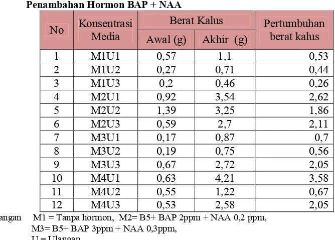 Tabel 4. Data Berat Kalus Dan Persentase Tumbuh Kalus Dengan                 Penambahan Hormon BAP + NAA 