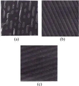 Gambar 1. Gambar permukaan menggunakan  Scanning Electron Microscope (a) CD bajakan, (b)  CD kosong, (c) CD yang telah diisi data (Jose, dkk, 