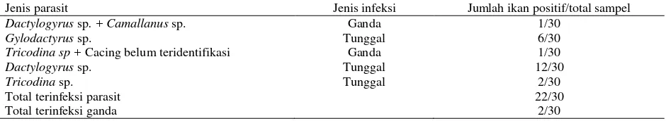 Tabel 1. Jenis parasit, predileksi, dan prevalensi parasit pada ikan lele dumbo (Clarias gariepinus) yang diperiksa 