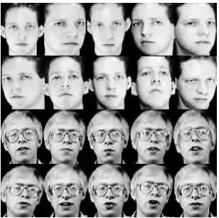 Figure 3. Face images by using the improved contourlet transform 