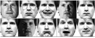 Figure 4. Face recognition rates when using different algorithms 