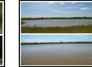 Gambar 3. Gambaran Sungai Salak  Gambar 4. Kondisi Embung Rantau Baru  (Sumber: Dokumen Pribadi) 