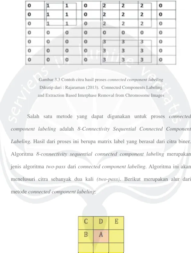Gambar 3.3 Contoh citra hasil proses connected component labeling  Dikutip dari : Rajaraman (2013)