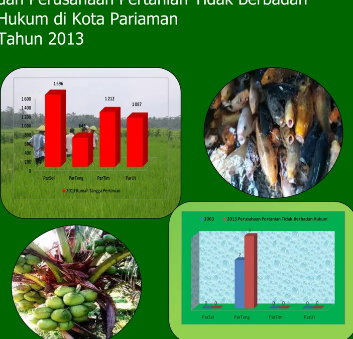 Grafik Jumlah Rumah Tangga Usaha Pertanian  dan Perusahaan Pertanian Tidak Berbadan 