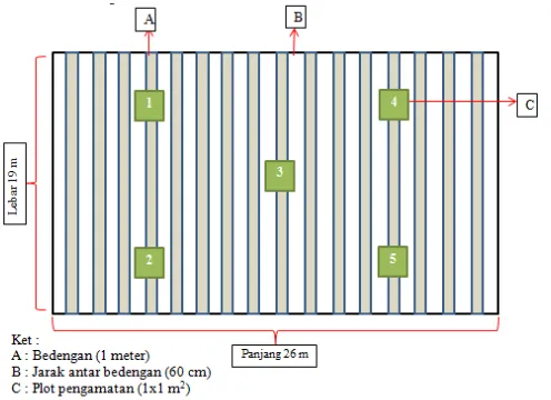 Gambar 1. Petak Sampel Pengamatan 