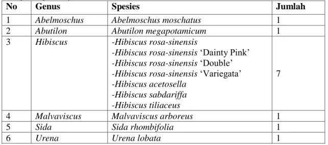 Tabel Jumlah Genus Malvaceae 
