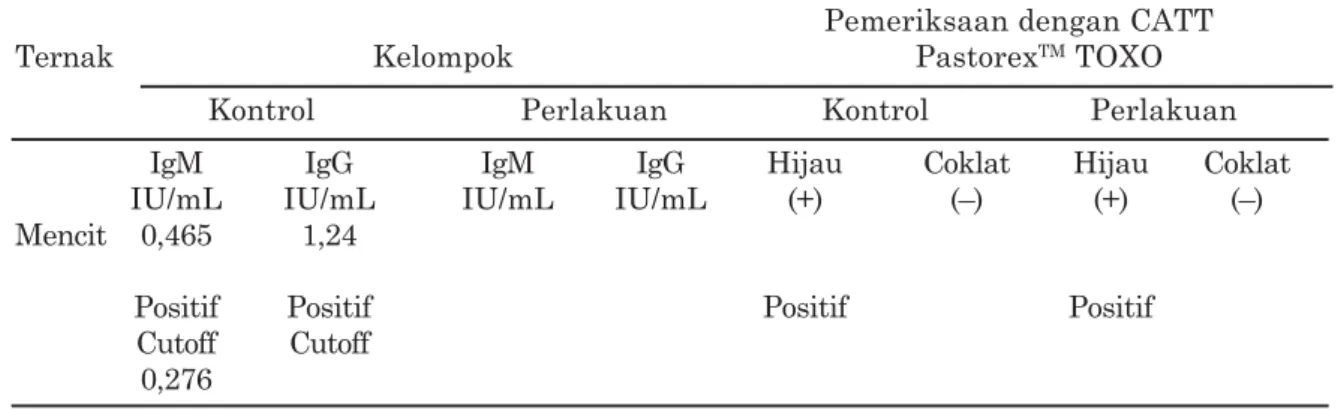 Tabel 3. Pemeriksaan kadar IgM dan IgG dari mencit pada kelompok perlakukan dengan metode ELISA dan CATT Pastorex TM  TOXO