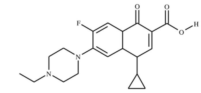 Gambar 1  Struktur dasar senyawa kuinolon 