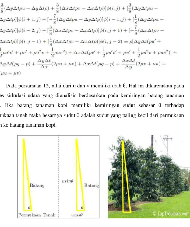 Analisis Sirkulasi Udara Pada Tanaman Kopi Berdasarkan Pola Tanam Graf