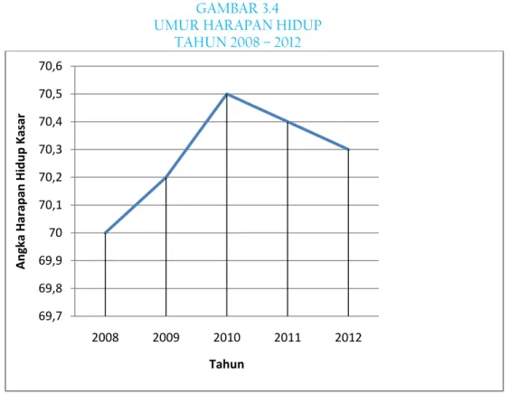 GAMBAR 3.4  UMUR HARAPAN HIDUP 