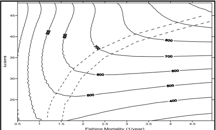 Gambar 3.  Diagram isopleth Lutjanus  malabaricus dengan variabel nilai Lc fishnet dan Lc rawai dasar tetap.