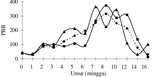 Gambar 8. Kurva pertumbuhan bobot badan galur induk PM menurut kelompok   bobot telur : selang atas (—•—) ; tengah (--♦--) dan bawah (—• —) 