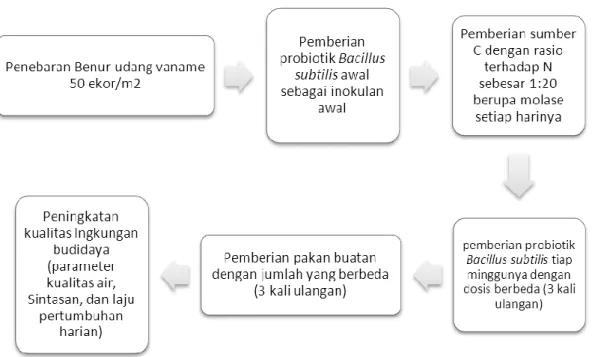 Gambar 2 Alur kerja penerapan teknologi BFT berbasis probiotik di tambak      udang vanamei 