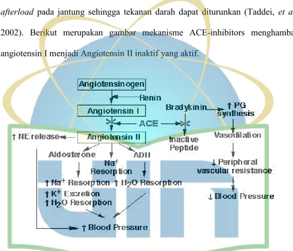Gambar 4. Mekanisme ACE-inhibitors menghambat angiotensin I menjadi  Angiotensin II inaktif yang aktif 