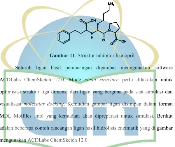 Gambar 11. Struktur inhibitor lisinopril 