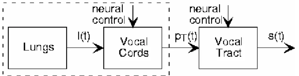 Gambar 2.4 Diagram model sistem produksi suara manusia (Johnson 2007).  