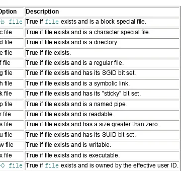 Table 10.1  File Test Options for the test Command