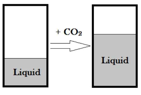 Gambar 1. Gas-expanded Liquid 