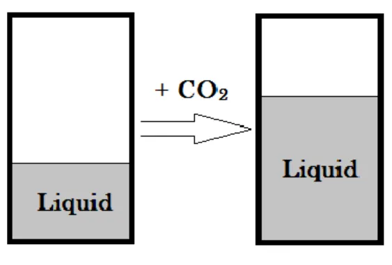 Gambar 1. Gas-expanded Liquid 