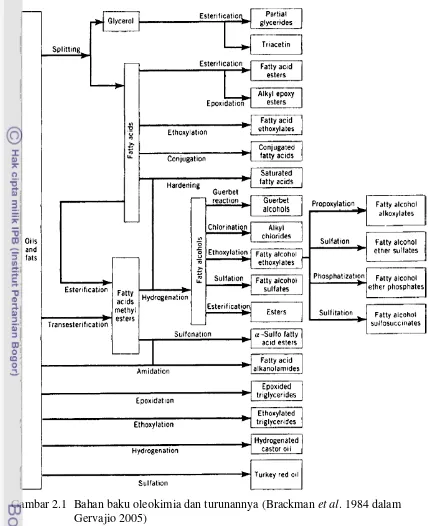 Gambar 2.1  Bahan baku oleokimia dan turunannya (Brackman et al. 1984 dalam 