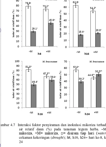 Gambar 4.7  Interaksi faktor penyiraman dan inokulasi mikoriza terhadap kadar 