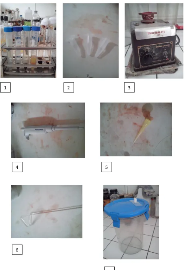 Lampiran 3. Gambar alat yang digunakan 