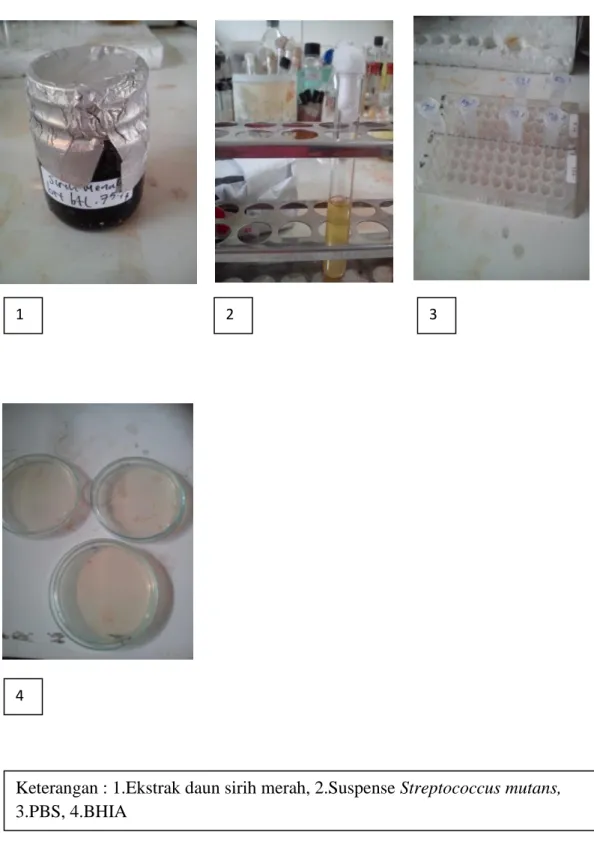 Lampiran 4. Gambar bahan yang digunakan 