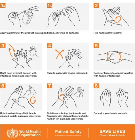 Gambar 2.2  Langkah-langkah Mencuci Tangan  Menggunakan Hand Rub (WHO, 2009) 