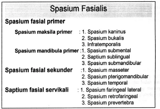 Gambar 1. Spasia Masseter, Pterigomandibular dan Temporal  (Topazian, 1995) 