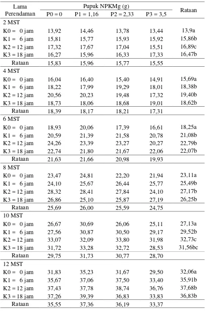 Tabel 3. Rataan Tinggi Bibit (cm) pada Perendaman Benih Kakao dalam Air Kelapa dan Pemberian Pupuk NPKMg (15:15:6:4) serta Interaksinya