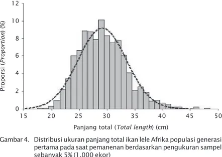 Gambar 4. Distribusi ukuran panjang total ikan lele Afrika populasi generasi pertama pada saat pemanenan berdasarkan pengukuran sampel sebanyak 5% (1.000 ekor)