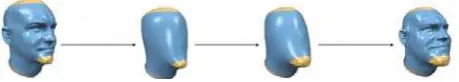 Figure 3. The process of image deformation based on wavelet filter using control curves and MLS 