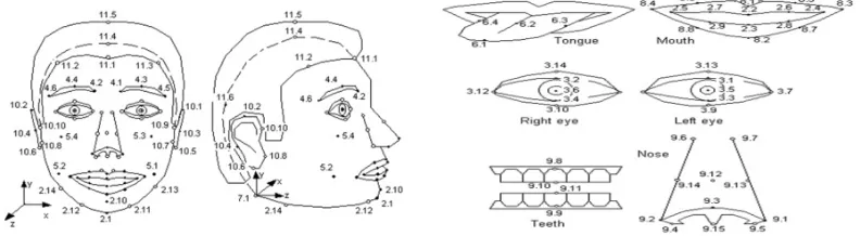Figure 7. The MPEG-4 definition of the human face features [15]  