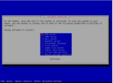 Gambar 4.23. Pilihan software yang akan diinstall    