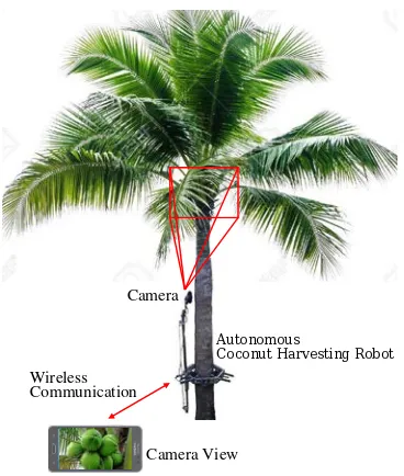 Fig. 1.Proposed coconut harvesting robot. The robot is autonomouslysearching for a coconut reaching the top of the tree harvesting coconut using aspeciﬁcally designed saw