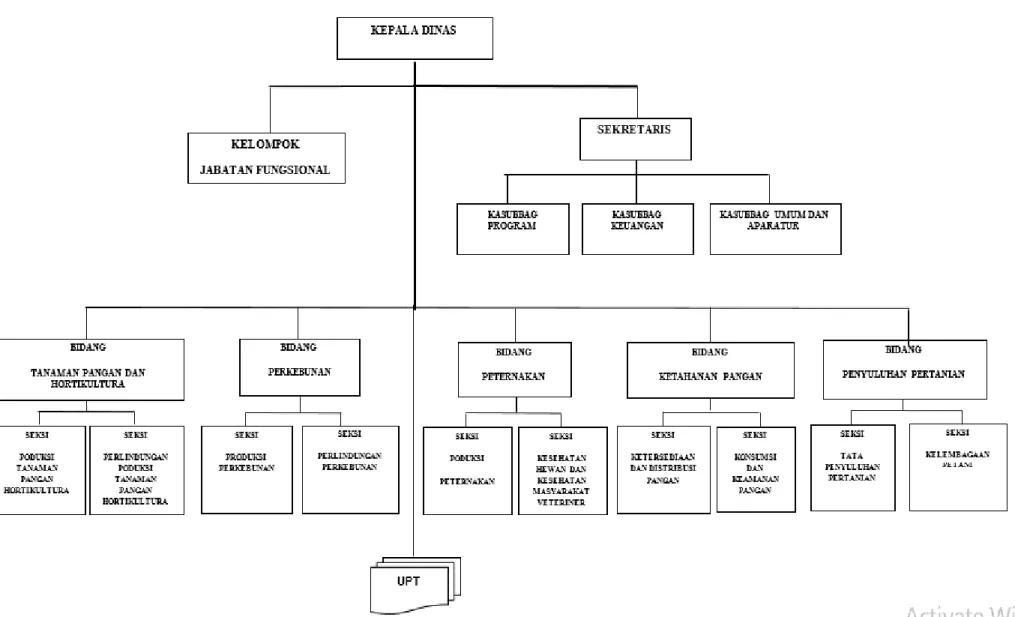 Gambar 2.1 Struktur Organisasi Dinas Pertanian dan Pangan Kabupaten Kapuas Hulu